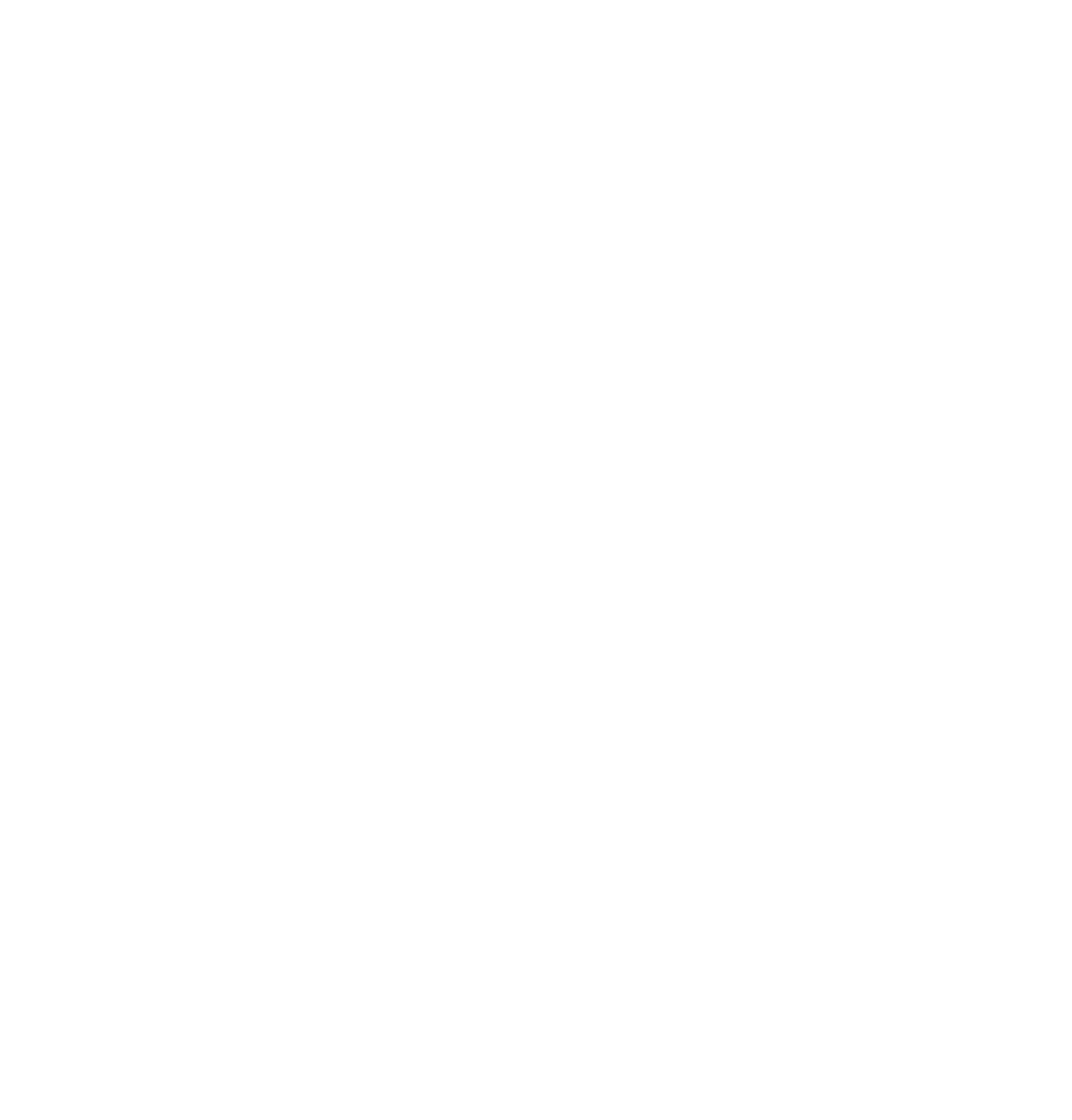 bold logo primary white